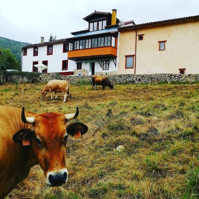 Casa Cosaratu, 2-9 Personas Villa Borines Luaran gambar